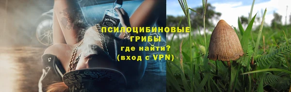 дживик Абаза