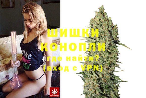 марихуана Новозыбков