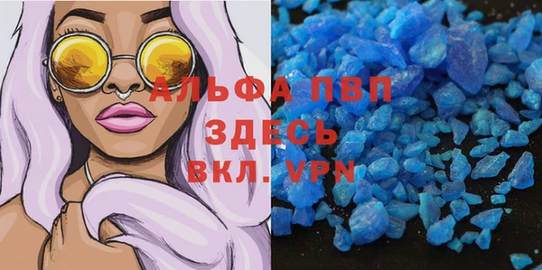 прущие крисы Новокубанск